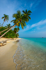 Fototapeta premium Tranquil closeup calm sea water waves with palm trees. Swing on the tree. Tropical island beach landscape exotic shore coast. Summer vacation, holiday amazing nature. Relax paradise, Maldives.