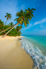 Fototapeta premium Tranquil closeup calm sea water waves with palm trees. Swing on the tree. Tropical island beach landscape exotic shore coast. Summer vacation, holiday amazing nature. Relax paradise, Maldives.