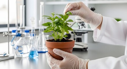 Scientist examining a small potted plant in a laboratory setting with various scientific equipment.