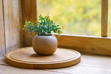 Small decorative succulent plant in beige pot placed on a wooden window sill with blurred autumn foliage outside. Cozy natural home interior with soft daylight and calm atmosphere.