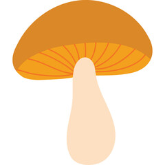 Stylized illustration of a single brown capped mushroom with an orange underside and a cream stem on a transparent background