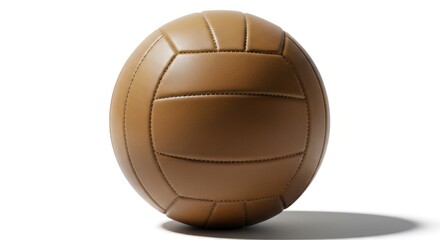 Leather ball with panels and stitching isolated on white, shadow