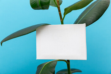 White canvas among green leaves. The concept shows creativity, natural balance, and harmony between art and environment.