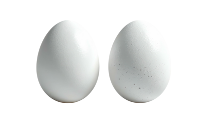 Pair of white, oval eggs close-up on a black background, with a speckled surface on one