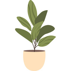 Stylized Potted Plant With Green Leaves and Beige Pot on a Transparent Background