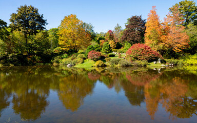 Beautiful Japanese garden with trees and rocks in autumn with perfect reflections in water under a sunny day