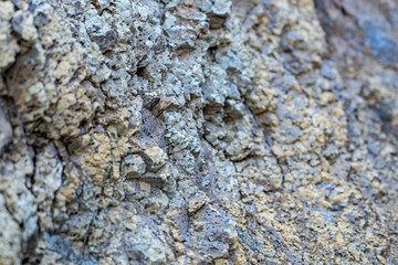 Weathered basalt. Koʻolau Range / shield volcano. Moanalua Valley & Moanalua Ridge Trail to the Haiku Stairs (Stairway To Heaven), Honolulu, Oahu, Hawaii. Koolau Basalt / Tholeiitic basalt. Oxidized
