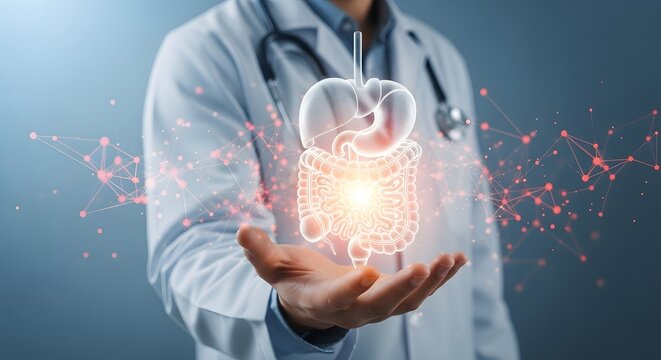Doctor holding a glowing digital representation of the digestive system