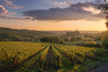 Fototapeta premium Badia a Passignano Abbey and Chianti Vineyards at Sunset, Tuscany
