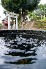 Fototapeta premium 鎌倉251024 山ノ内八雲神社6