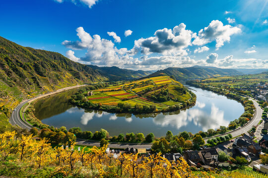 The Moselle loop near a beautiful Bremm village with Stuben Monastery ruins and surrounding vineyards in autumn season. Germany