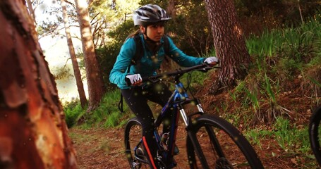 Naklejka premium Cycling woman navigating narrow pine forest trail on mountain bike, with helmet, gloves, backpack