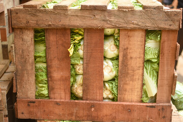 Fresh mature Chinese cabbage in a wooden box. Fresh Green Vegetables in Wooden Box, Healthy Eating Concept vegetables fresh healthy bok choy vegan	