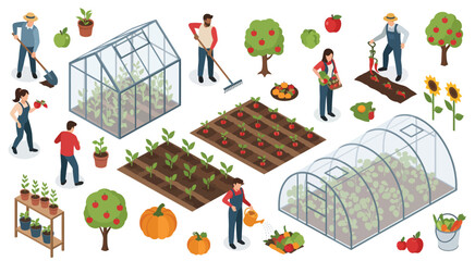 Isometric Set of Farming and Gardening Activity. Collection of Farmers Working, Planting, and Harvesting Vegetables and Fruits in Greenhouse Vector Illustration