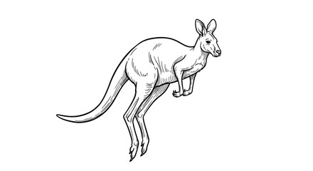 Fototapeta premium Graceful kangaroo illustration hopping in a stylish black and white drawing.