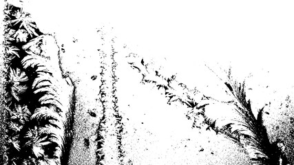 Abstract black and white textured background with organic shapes