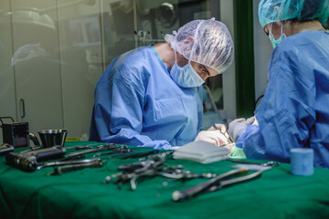Veterinarians performing surgery on animal in operating room
