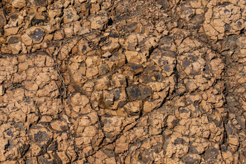 Weathered basalt. Koʻolau Range / shield volcano. Moanalua Valley & Moanalua Ridge Trail to the Haiku Stairs (Stairway To Heaven), Honolulu, Oahu, Hawaii. Koolau Basalt / Tholeiitic basalt. Oxidized
