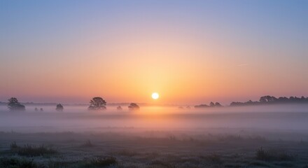 Fototapeta premium Brilliant sun rises above a misty meadow landscape at dawn