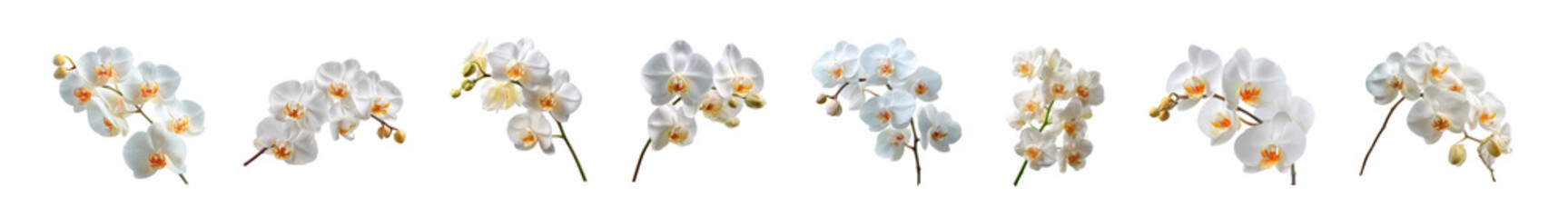 A delicate watercolor illustration of various flowers and plants in soft pastel colors.