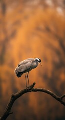 Naklejka premium Slender wading bird perches delicately upon a curved, bare tree branch against a warm, muted background