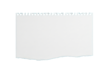 Torn white paper with perforated edge isolated on transparent background