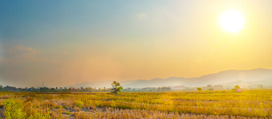 Beautiful natural panoramic countryside landscape. softbright on rice fields in nature at sunset warm summer. Selective focusing on foreground.