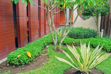 Lush green garden with wooden fence, plants, and manicured landscaping