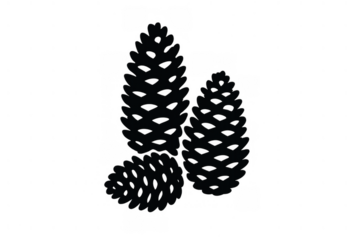 Pine cone silhouette abstract symbol black and white icon set representing nature forest seeds winter elements