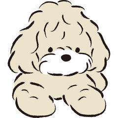 Cute beige poodle dog illustration with fluffy fur and black eyes sitting down on a transparent background perfect for animal lover designs