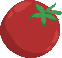 Fresh Red Tomato Vector Illustration with Green Stem and Calyx, Top View