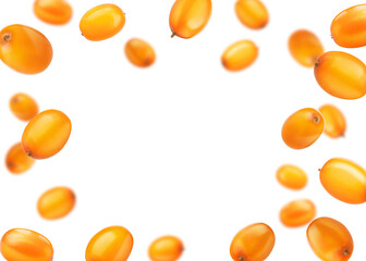 Fresh sea buckthorn berries in air on white background