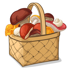 Wicker basket full of mushrooms. Vector illustration of a basket with mushrooms.