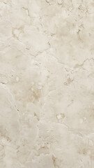 Obraz premium Limestone Wall Texture with Subtle Fossil Details
