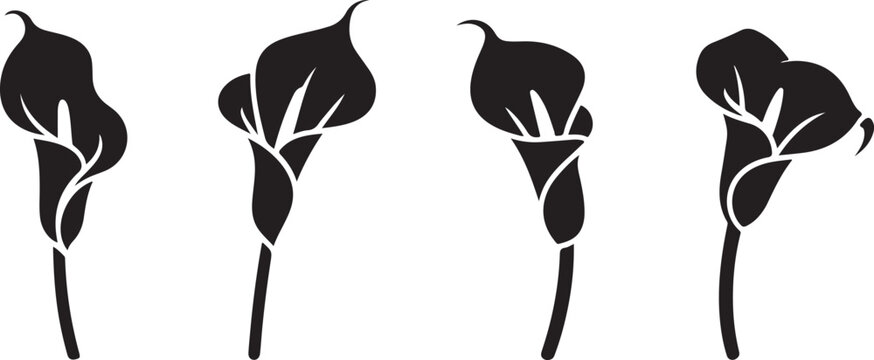 Calla lily flower set floral silhouettes illustration design art decoration natural botany botanical elegant zantedeschia nature element