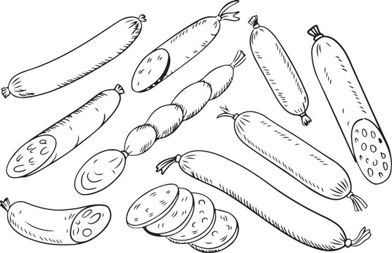 Assortment of sausages different types cured meats smoked meats delicacy meat products food illustration for culinary themed background