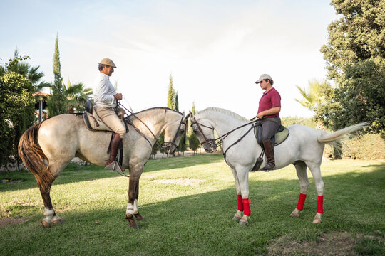 Two purebred horses greeting each other with riders outdoors