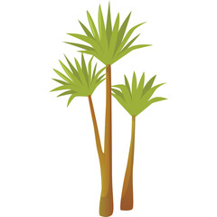 Three Tall Green Palm Trees With Brown Trunks And Lush Fronds Against A Transparent Background
