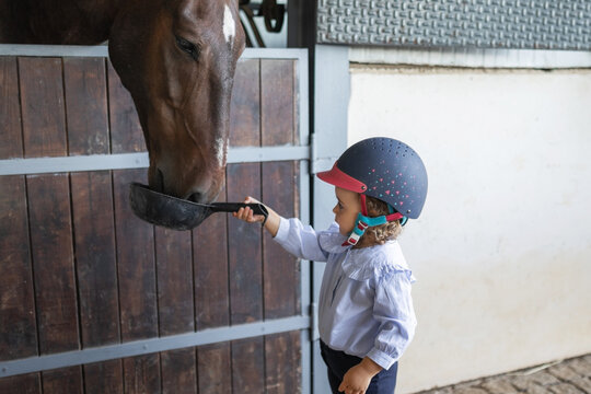 Little girl feeding horse with small pan at stable