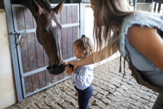 Mother and daughter feeding horse at stable door