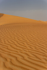 wavy, wind-blown ripples covering the steep, golden-orange slope of a vast sand dune