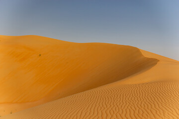 golden-orange sand dunes with intricate wind-blown ripples meeting a smooth, massive slope