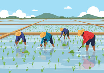 Farmers transplanting rice seedlings in flooded paddy fields under a blue sky