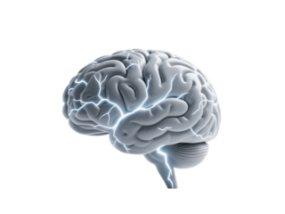 Wire AI Brain Transparent Background