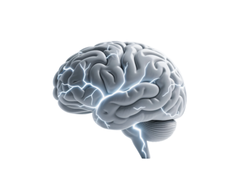 Wire AI Brain Transparent Background