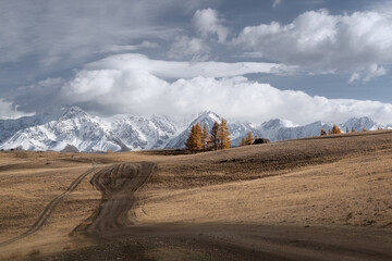Majestic Altai mountains reveal a breathtaking autumn scene with patches of golden larch trees, rolling hills, and clouds creating a picturesque panorama.