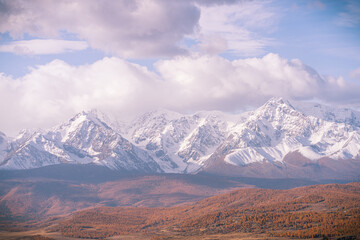 In the Altai region, a stunning panorama reveals snow-covered mountains towering over a valley filled with autumn foliage. The sky is partly cloudy, adding mood to the scene.