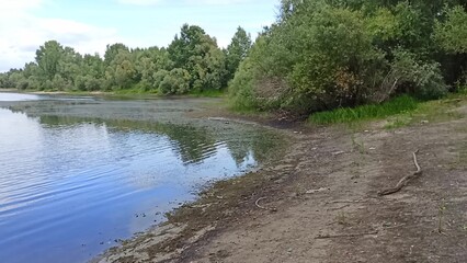 A gently sloping sandy river bank with dense bushes on a cloudy summer day.