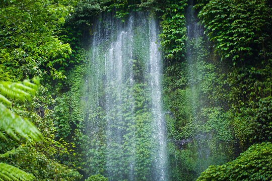 A scenic view of Benang Kelambu waterfall flowing through lush green foliage in Lombok, Indonesia. Natural landscape with fresh greenery and falling water in the rainforest.