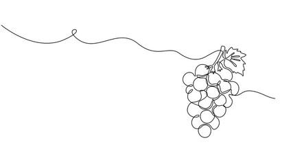 Self drawing line animation healthy organic grapes Fresh tropical fruitage continuous one single line drawn concept video, Abstract bunch of grapes. continuous single one line art hand drawing sketch